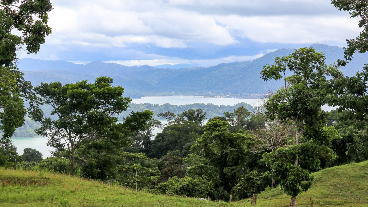 Unique Development Property Overlooking the Pristine Golfito Bay and Golfo Dulce - Gallery image 41