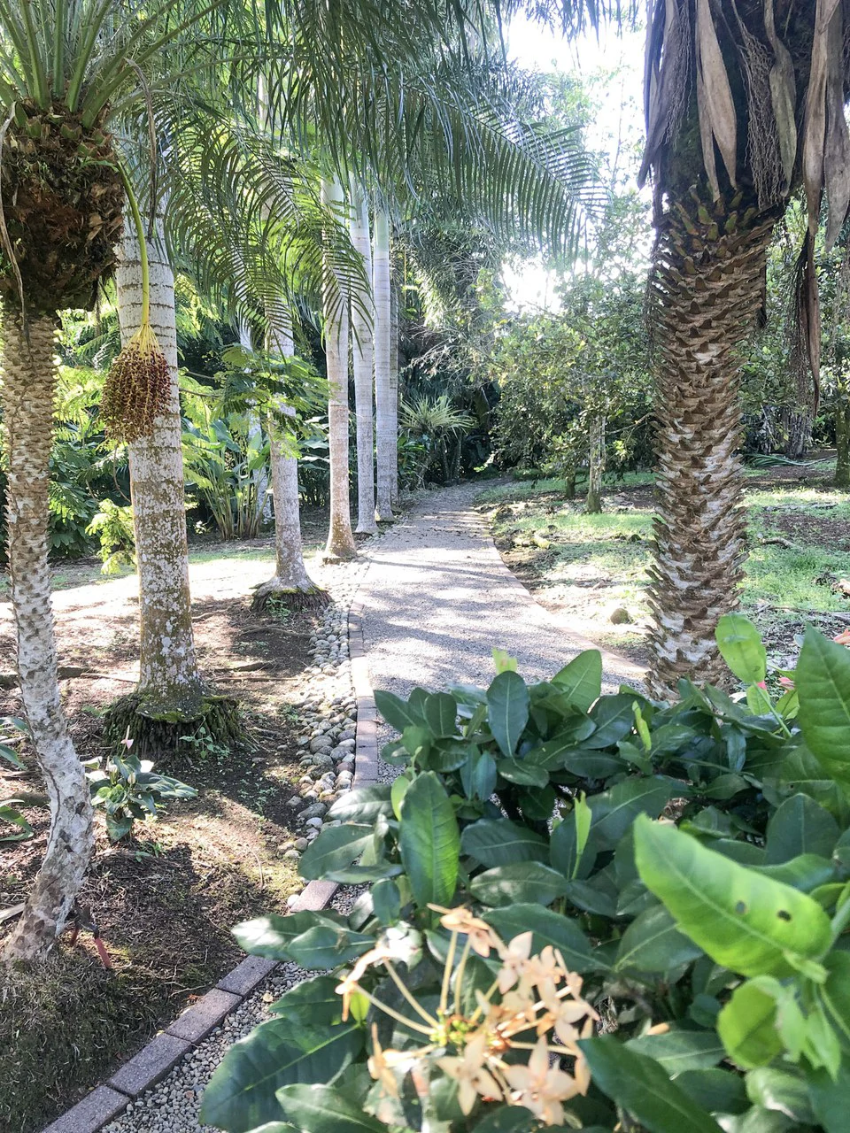 Beautiful Home for Sale with its own Natural Paradise - Gallery image 22
