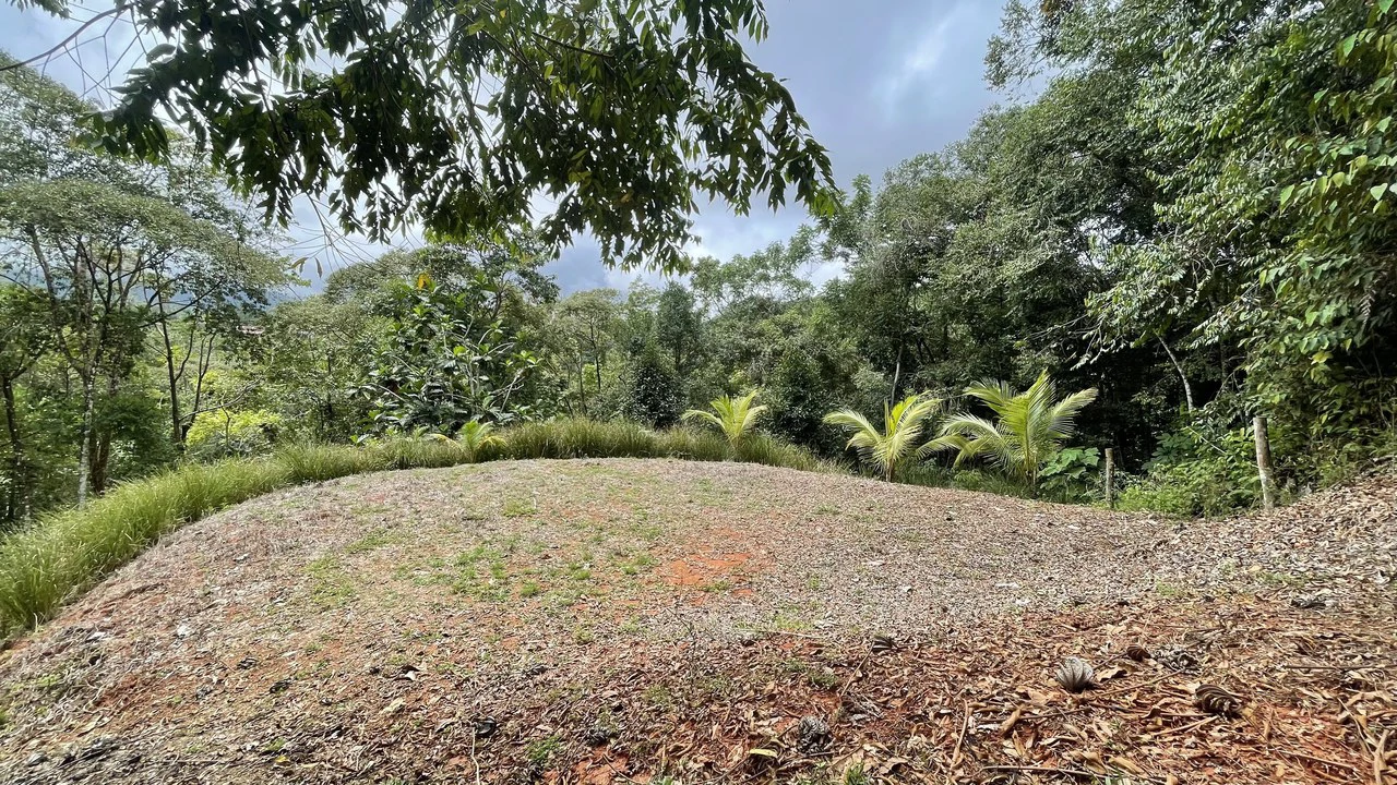 HALF ACRE LOT IN PLATANILLO, MINUTES TO THE BEACH OF DOMINICAL - Gallery image 5