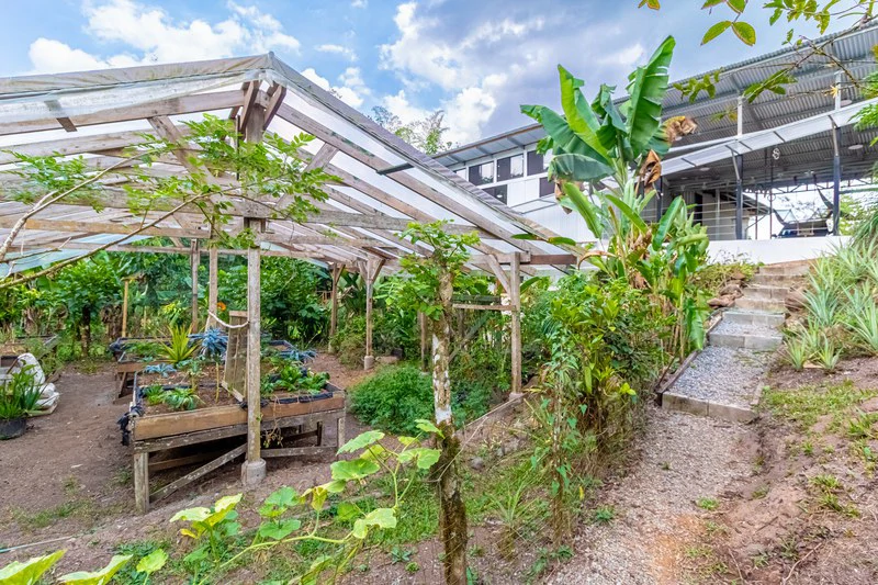 Casa San Pedrito: Beautiful house for sale in San Pedrito,(1,3hect) Perez Zeledon - Gallery image 5