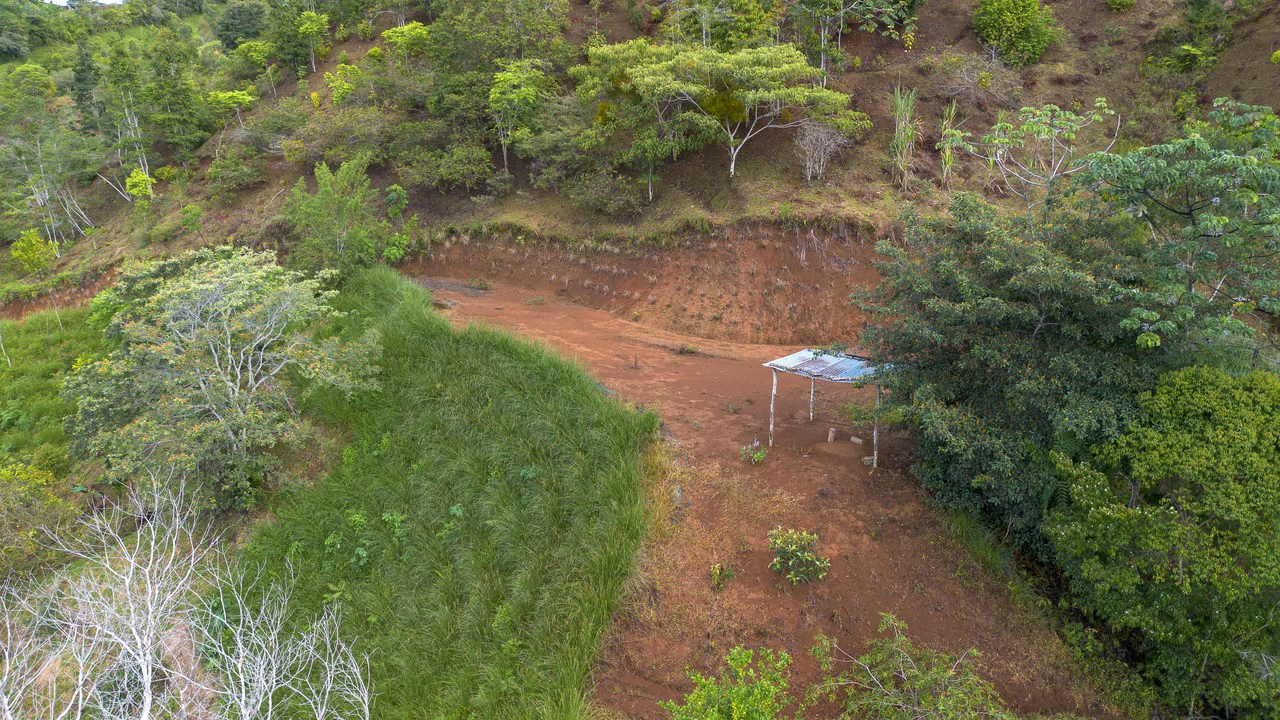10.21 Acres with Views & Plantels – Pérez Zeledón - Gallery image 7