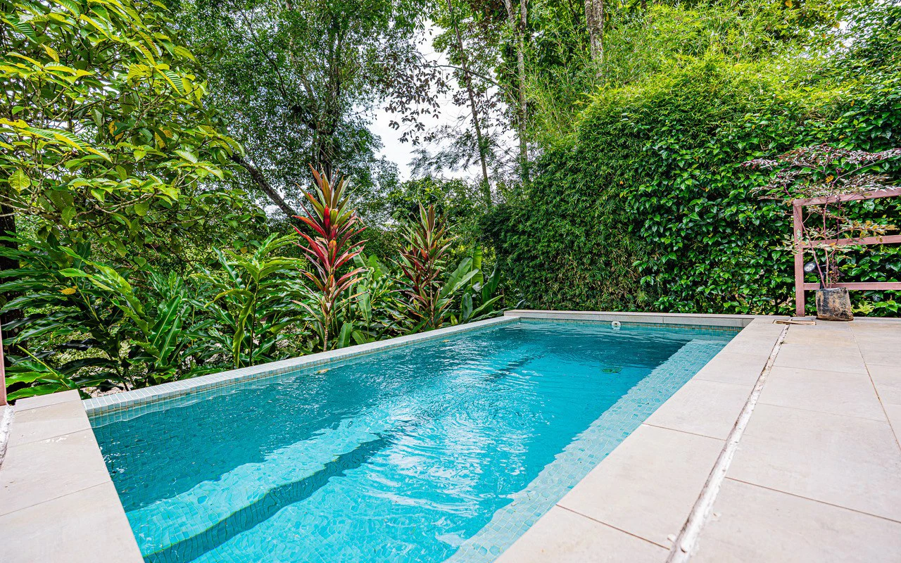 Riverfront Baru Estate Luxury Oasis Walkable to Playa Dominical - Gallery image 44