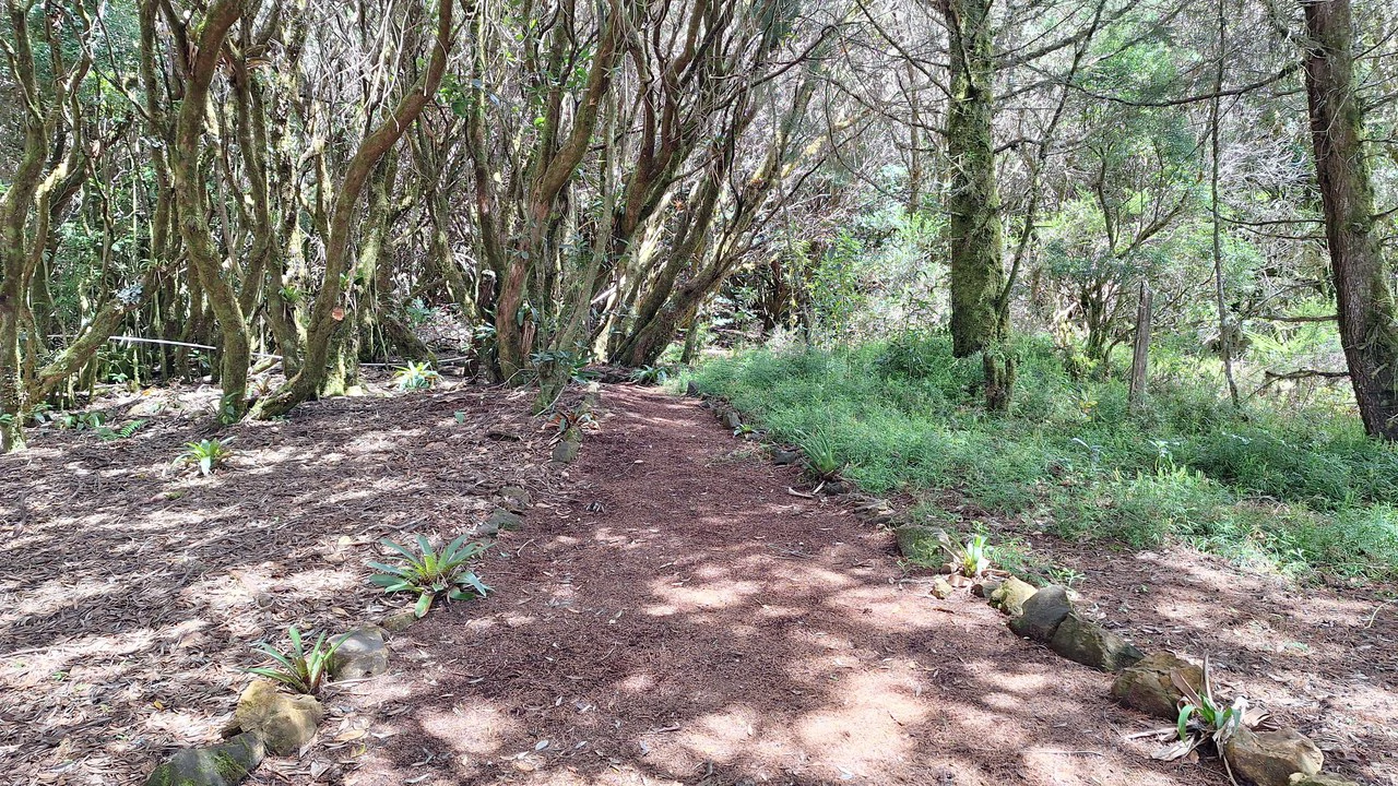Se vende propiedad Ubicada en División de Paramo.: Mountain Home Construction Site For Sale in Division de Páramo - Gallery image 12