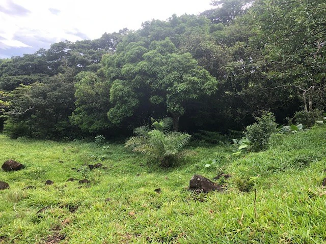 Warm Spring Mountain Property in a tropical landscape and antique wooden house,  50 minutes from Liberia city - Gallery image 6