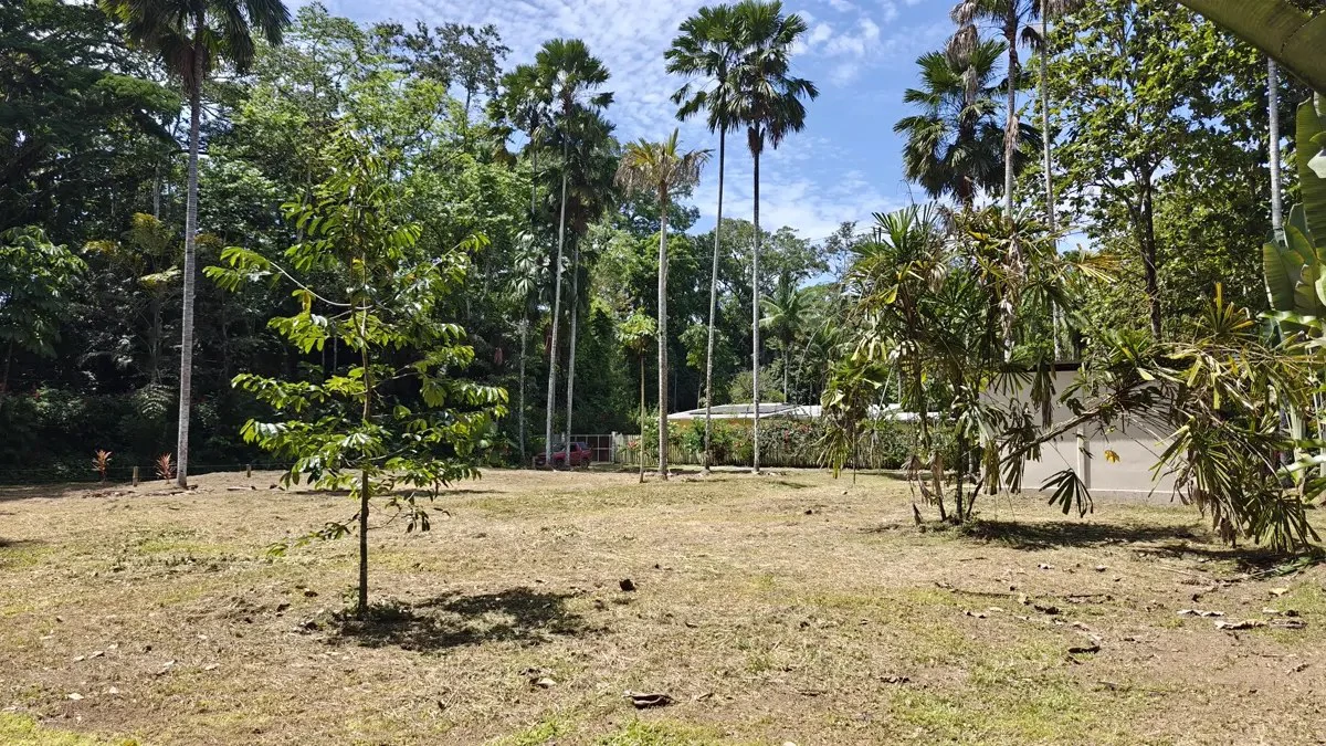 ID 949: 1,547 sqm Build-Ready Lot Near Cahuita and Playa Grande - Gallery image 8