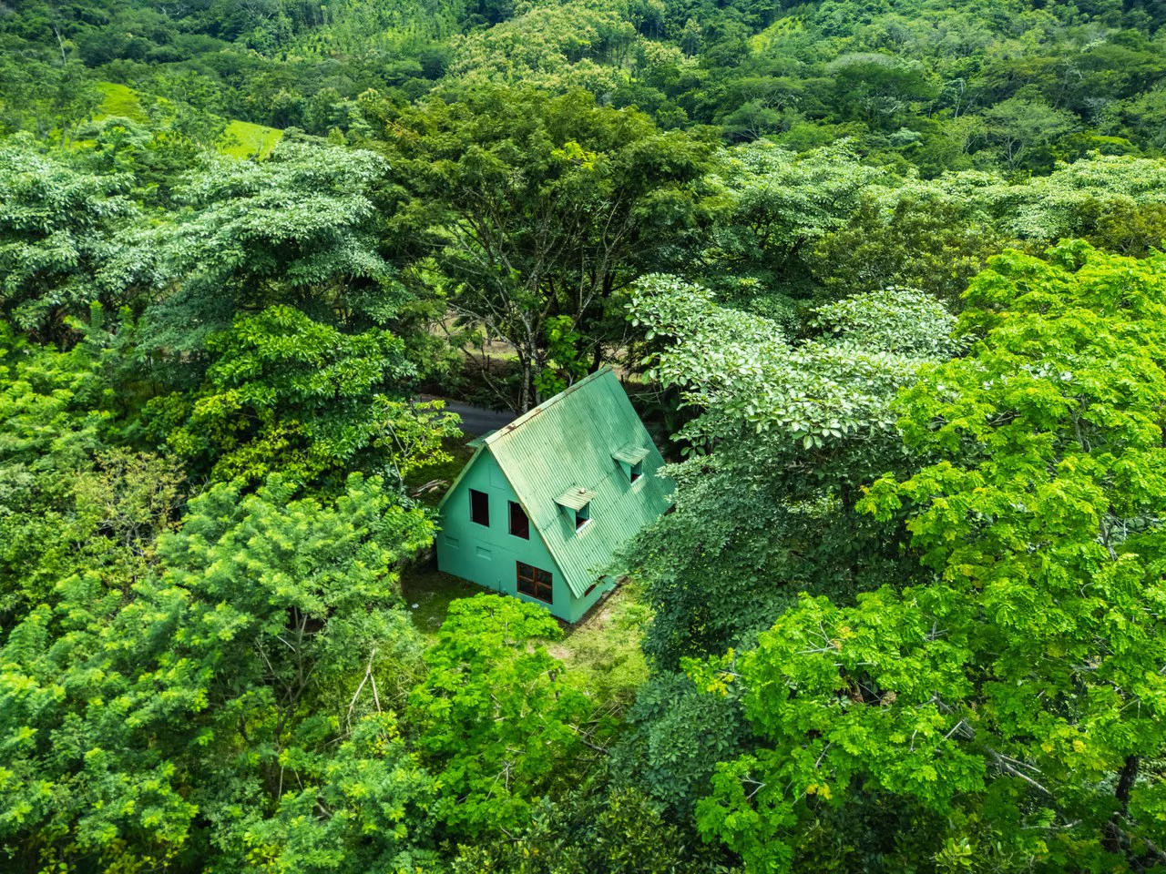 Casa Verde: Your Green Dream - Gallery image 6