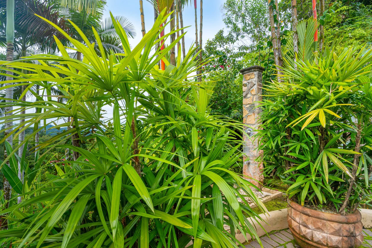Ocean Mountain View with Privacy! Casa Carpe Diem: Mountain House For Sale in Ojochal - Gallery image 16