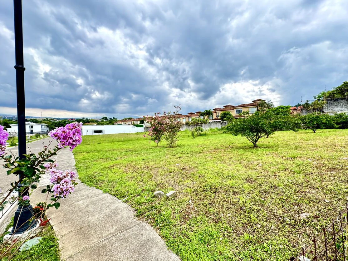 388 m² in a Prime Location - Gallery image 17