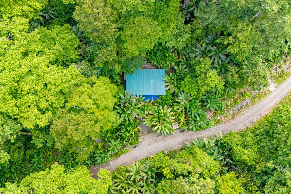 ID 1157: 1 Bd/1 Ba Home on 1,250 sqm Near Puerto Viejo, Costa Rica - photo 23