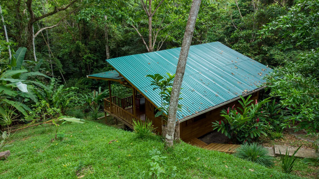 4 Bd/3 Ba - Two Caribbean Homes w/ Pool, on 5000m²: Dual Home Jungle Property in Punta Uva - Gallery image 22