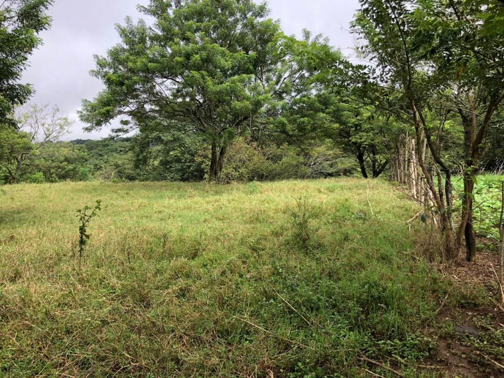 Commercial property in Guácima, Alajuela - Gallery image 7