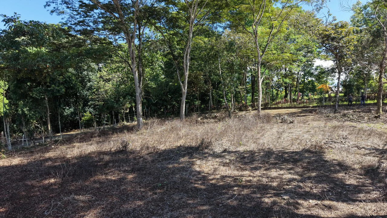 Home Construction Site For Sale in SINAI - Gallery image 10