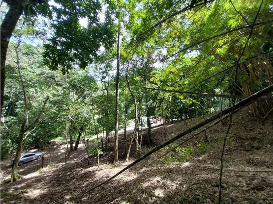 Home Construction Site For Sale in Jacó - Gallery image 11