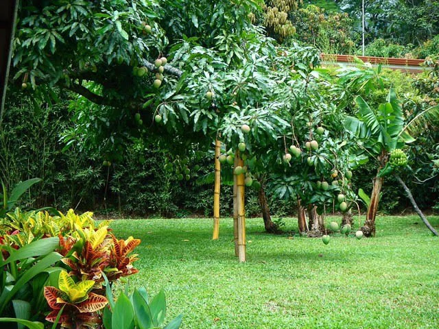 CASA DE LUJO SOBRE LAS MEJORES COLINAS DE ESCAZU: Mountain House For Sale in Escazú - Gallery image 18