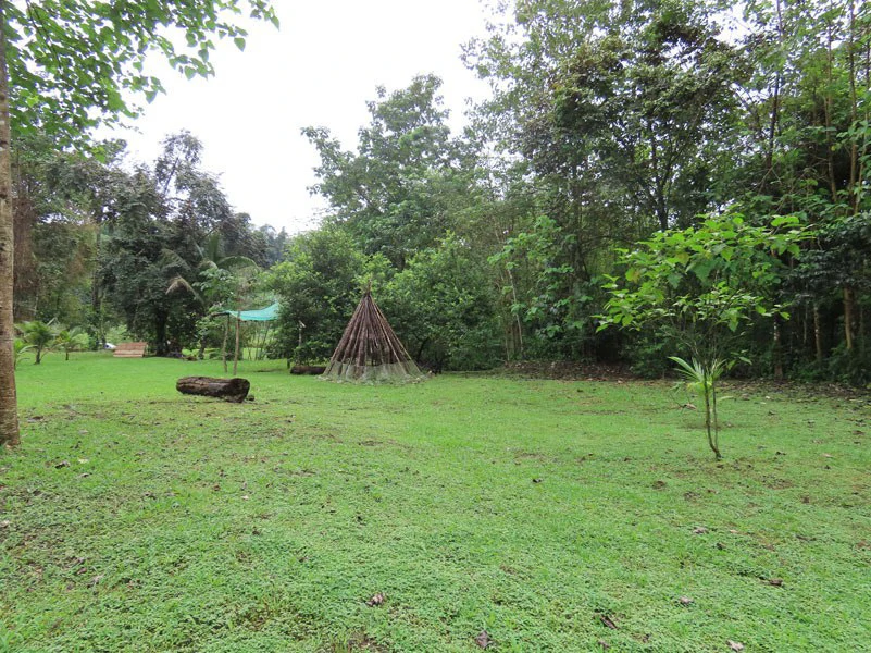 Land For Sale in Dos Brazos, Puerto Jimenez, Ideal For Home Surrounded by Nature - Gallery image 8