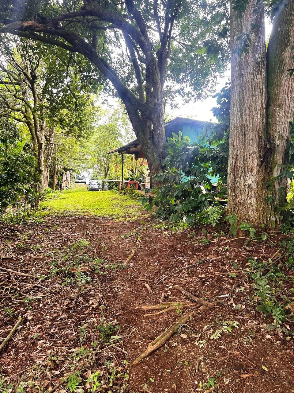 Hot Market: 2.6 Ha for Residential Development in the heart of the action! - photo 3