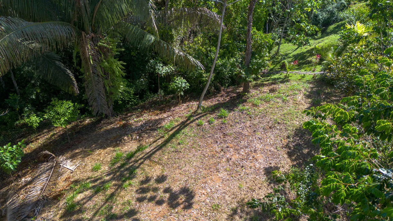 Surfers Paradise! Two Usable Lots for Building in Playa Hermosa Near Uvita!!: Mountain Home Construction Site For Sale in Playa Hermosa - Gallery image 4