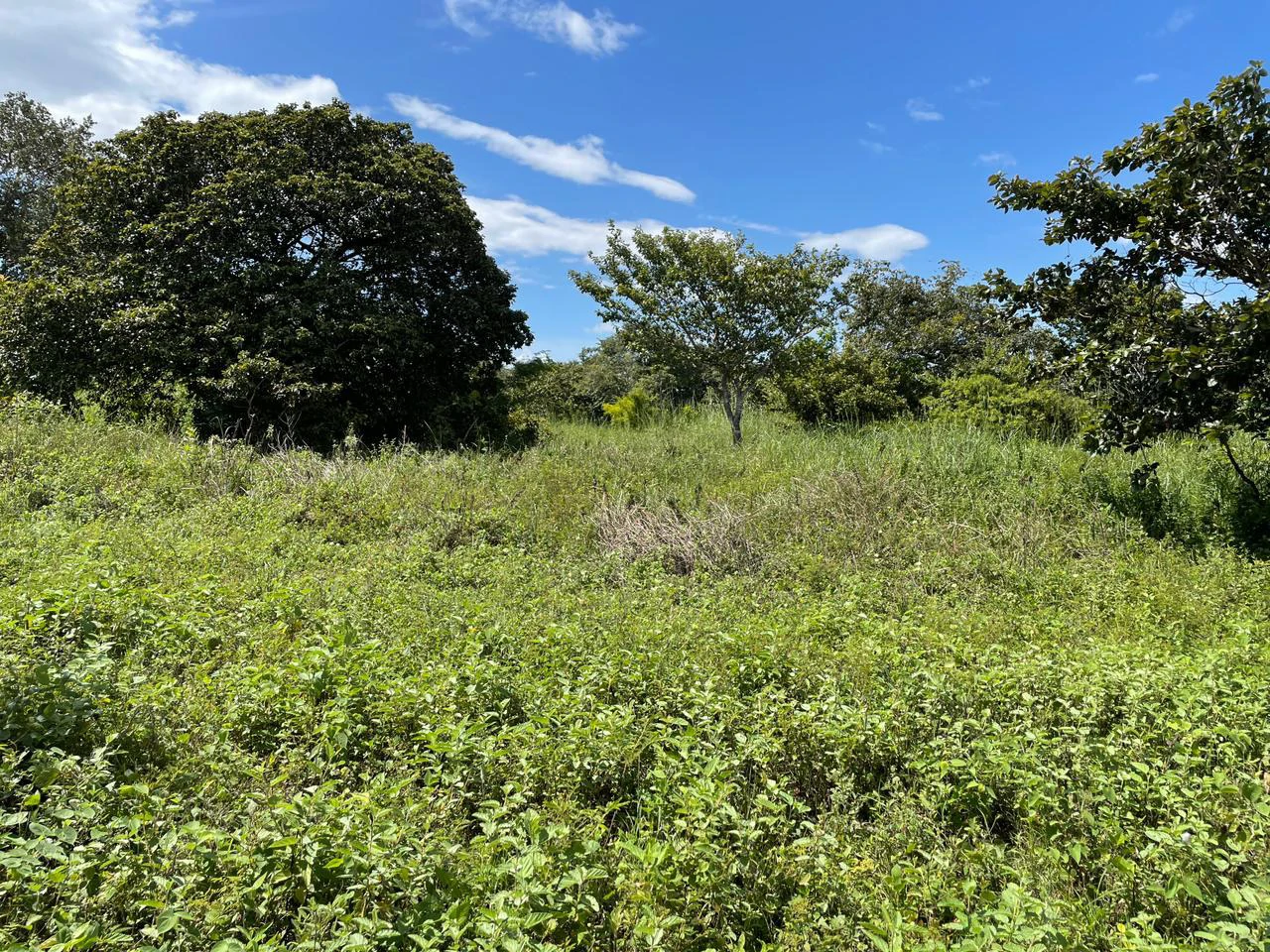 Airport Liberia Top commercial location huge property for sale - Gallery image 29