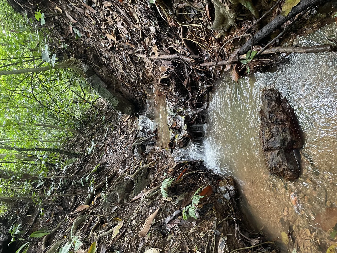 TROPICAL MASTERPIECE – 61.78 ACRES OF OCEANVIEW BLISS WITH WATERFALL: Mountain Development Parcel For Sale in Tres Rios - Gallery image 9