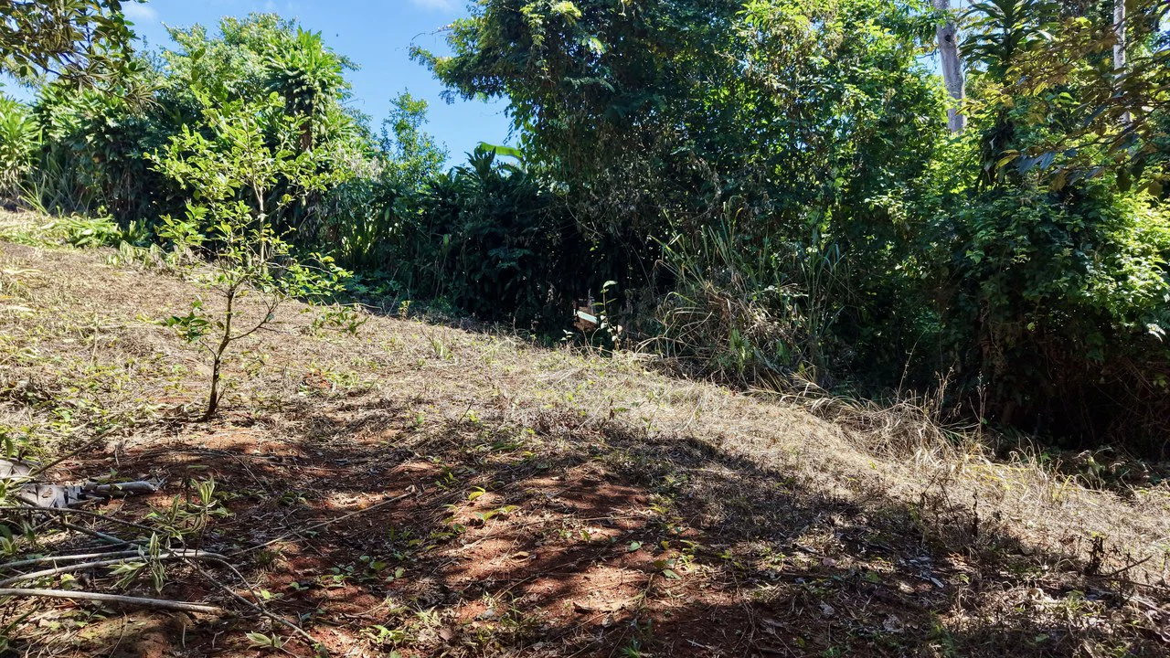 Home Construction Site For Sale in Pavones - Gallery image 35