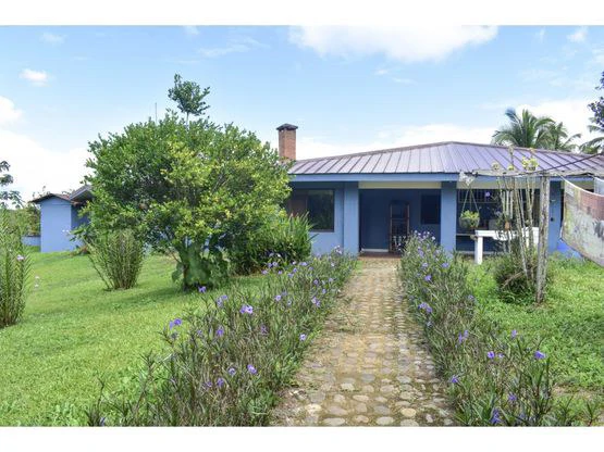 Serene Jungle Farm in Limon Province - Gallery image 34