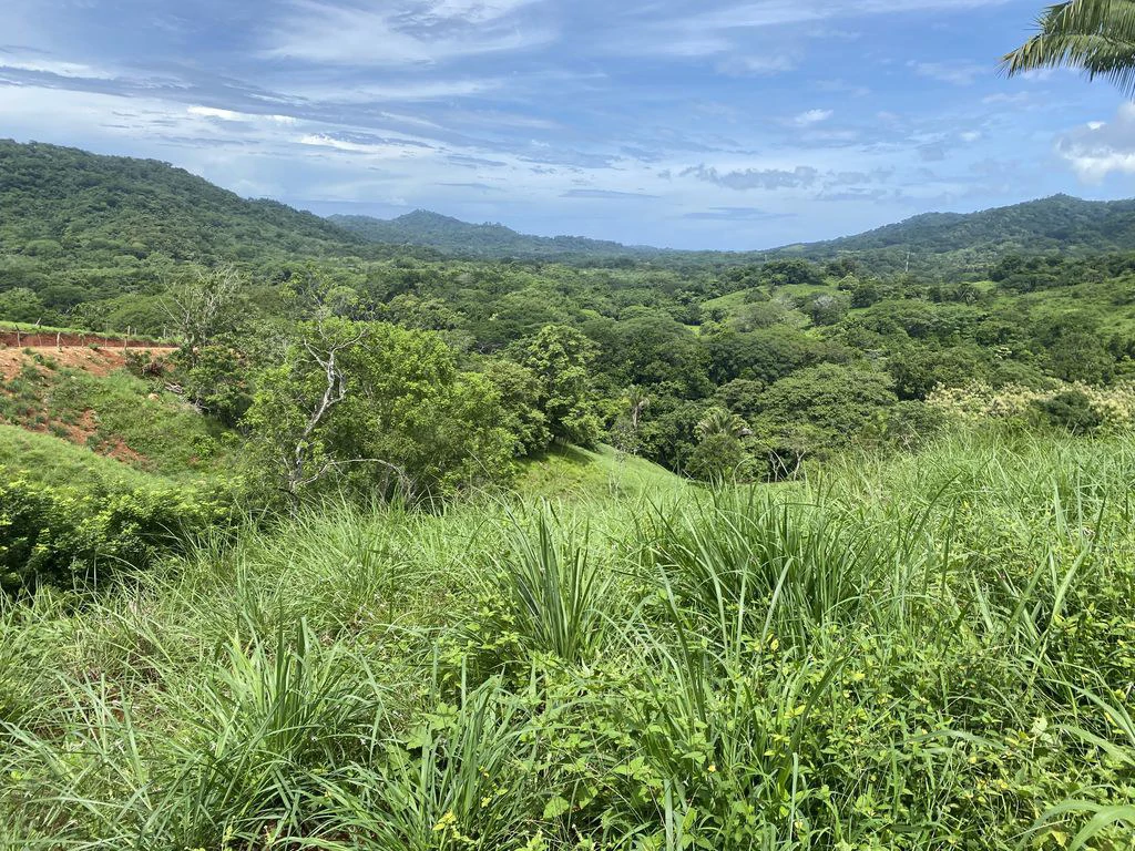 Finca Rio El Carmen: 3 HA Finca with Elevation Across from Renowned Rio Ora, 1 HA parcels available, Three 1700 m2 lots - All available in Rustic El Carmen - Gallery image 11