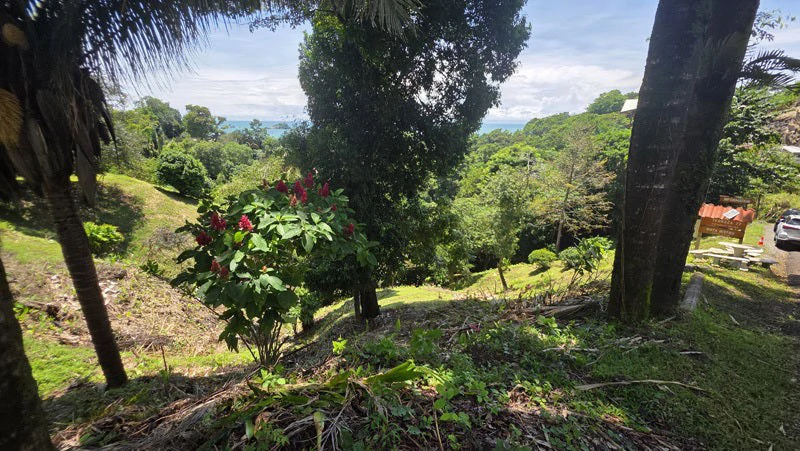 Ocean View Lot in Manuel Antonio Prime Location, Walk to the Beach - Gallery image 4