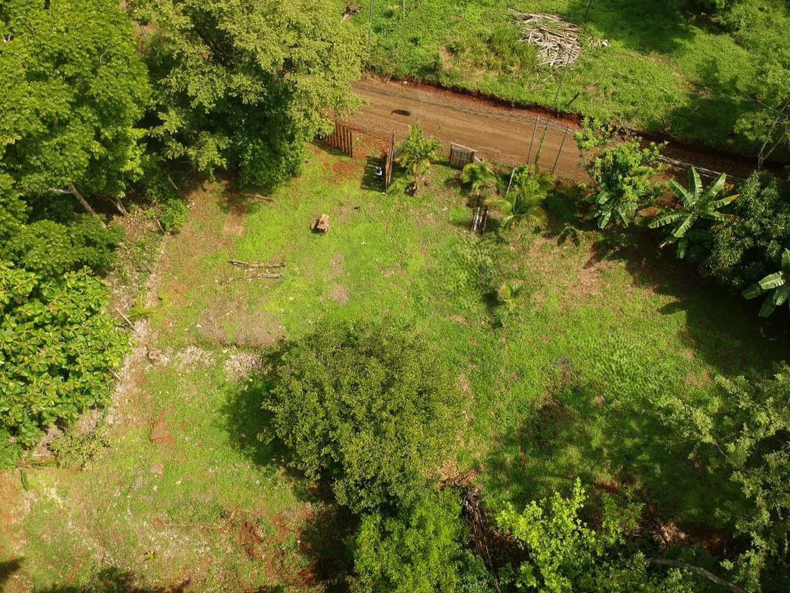 LOTE SERENIDAD: Beautiful 3,554 m² (0.89 Acre) Lot in Peaceful Estrada, Just 10 Minutes from Carillo Beach - Gallery image 2