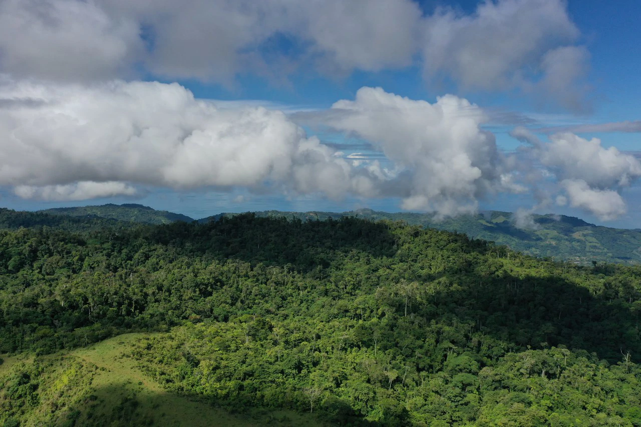 47 Acre Off Grid Ranch with Ocean & Mountain Views San Lorenzo Perez Zeledón - Gallery image 15