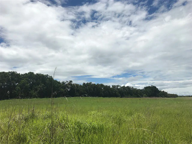 Large Development Land for Sale in Liberia, Guanacaste, Costa Rica - Gallery image 56