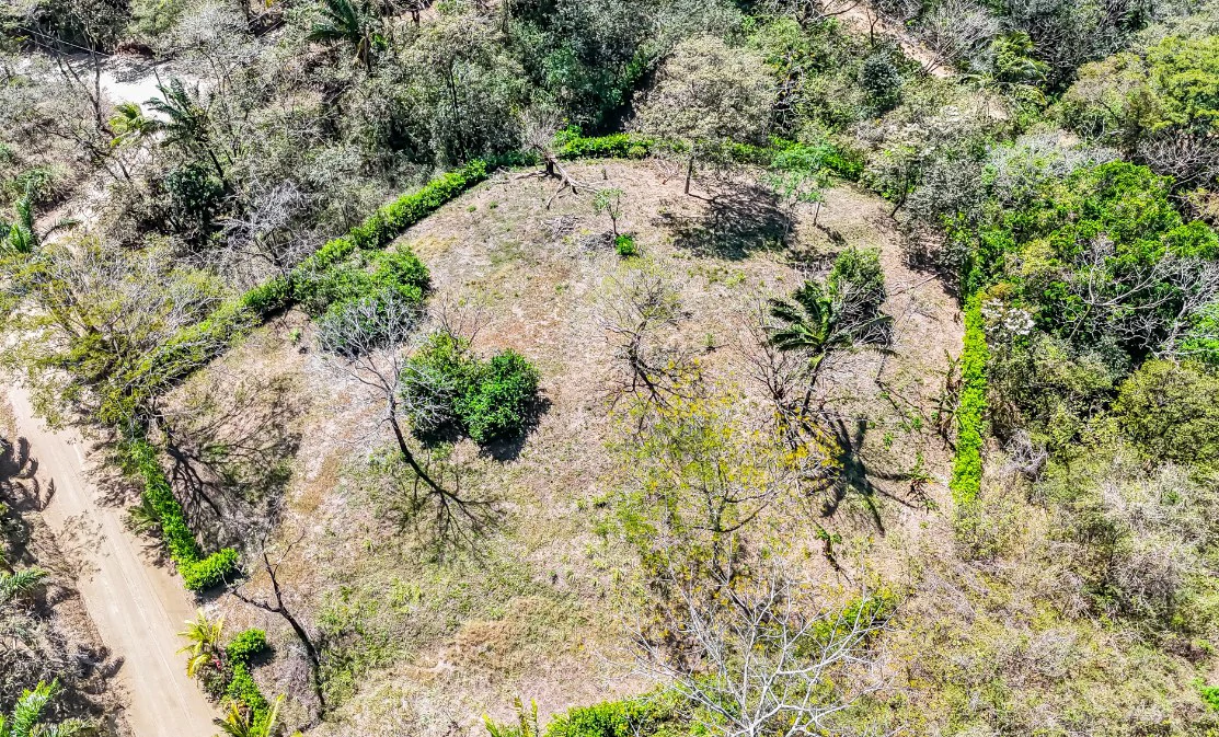 Lote del Bosque: Beautiful Acre Lot in Montaña - Gallery image 2
