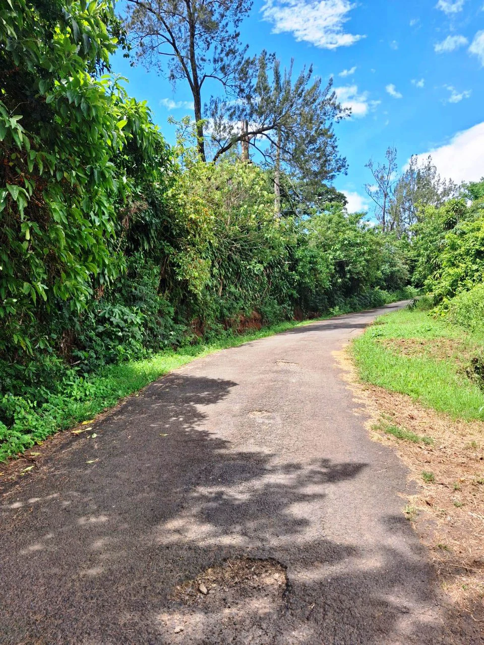 Flat and Private...Beautiful...Flat Lot close to town! - Gallery image 2