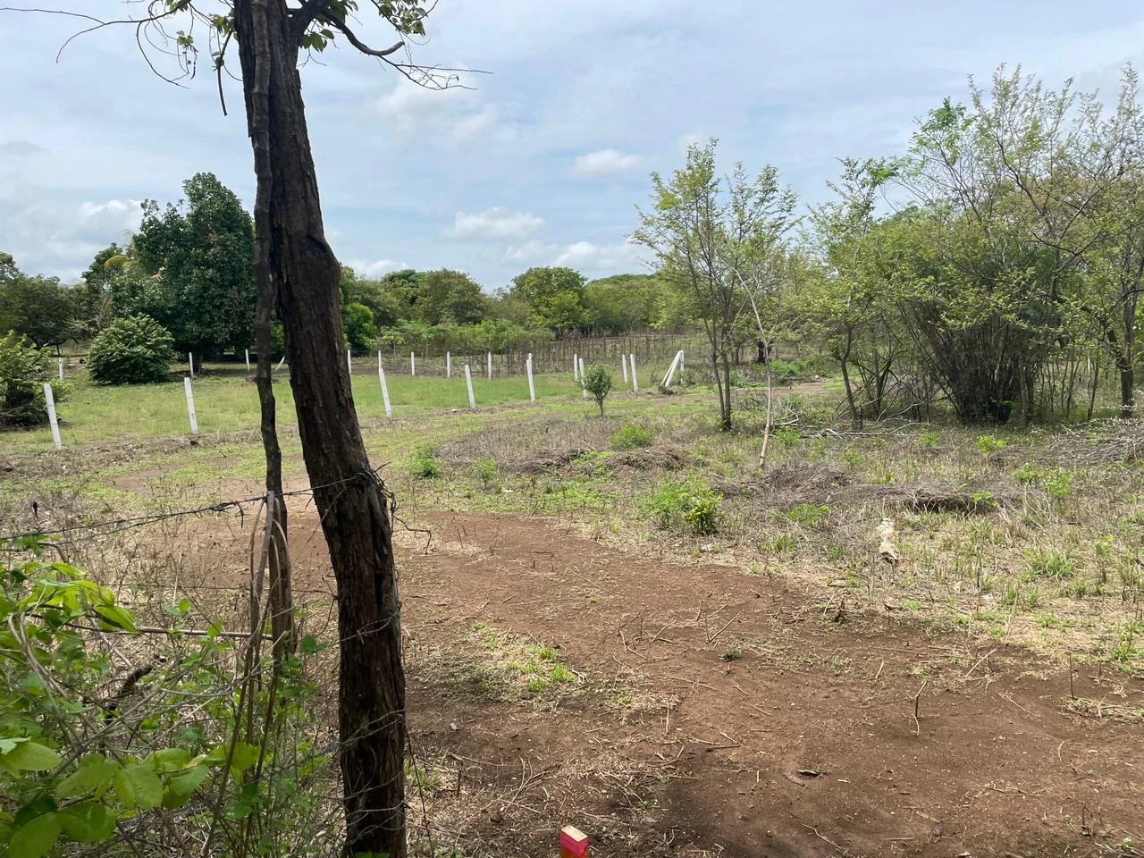 BEST PRICE! For sale comercial Property for warehouses or free zone, 1 km from Liberia Airport, Guanacaste, CR - Gallery image 4