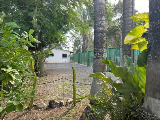 Tropical Garden Hotel Downtown Jaco - Gallery image 20
