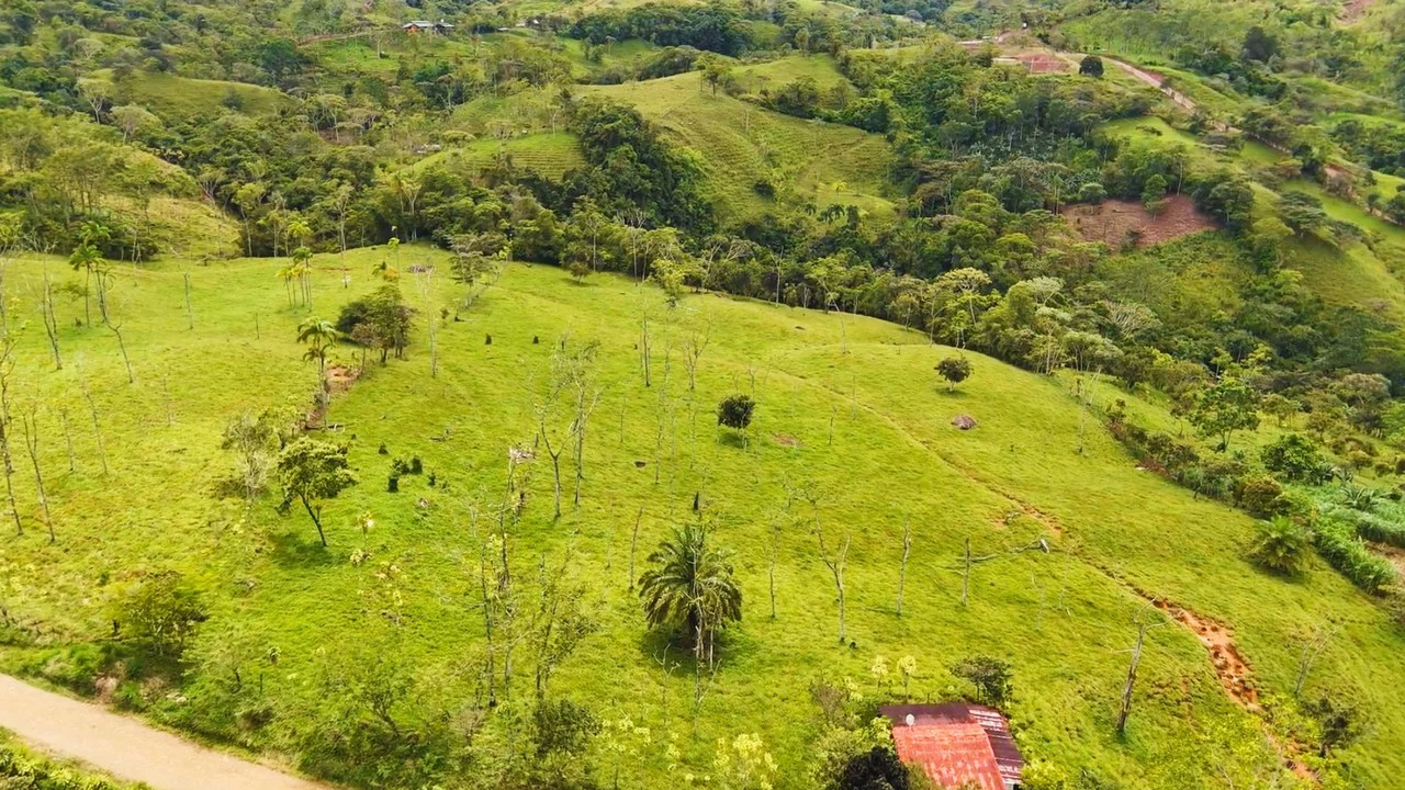 Countryside Agricultural Land For Sale in Centro de Pérez Zeledón - Gallery image 4