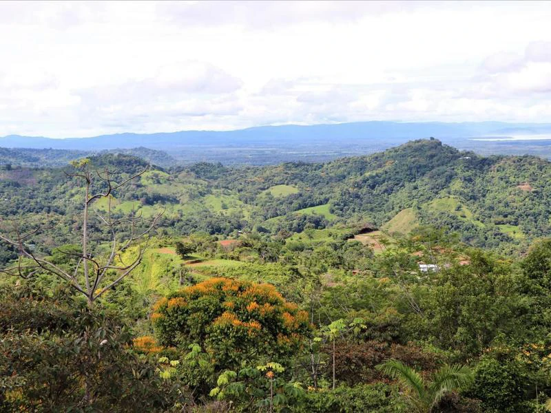Captivating 3.15-Acre Property: Huge Pricedrop! Firesale Oceanview Lot in Tres Rios - Gallery image 51