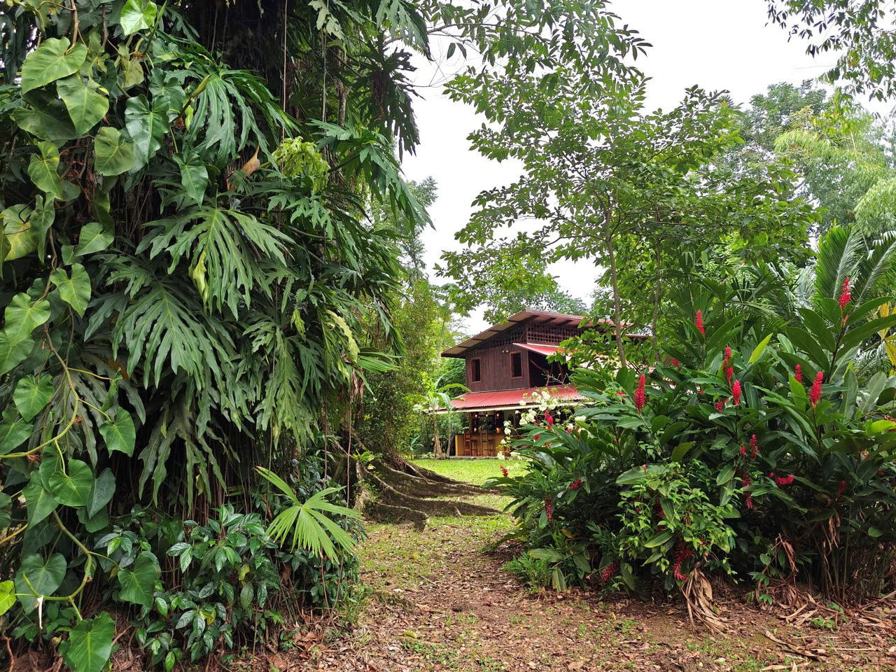 Authentic Caribbean Charmer for Sale in Playa Negra, Puerto Viejo: Traditional Caribbean Wooden Home in Playa Negra on 2600 sqm Lot - Gallery image 2