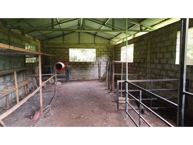 Tamarindo horse farm with two houses, a barn in the best natural setting - Gallery image 32