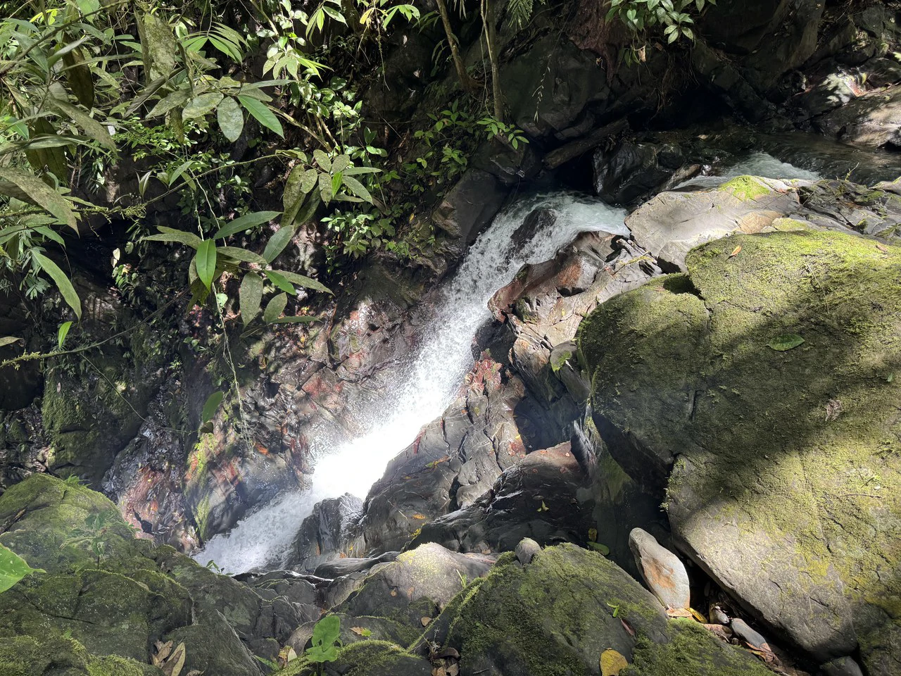 23.5 Acre Waterfall & Riverfront Estate Bahia Ballena Osa Peninsula - Gallery image 23