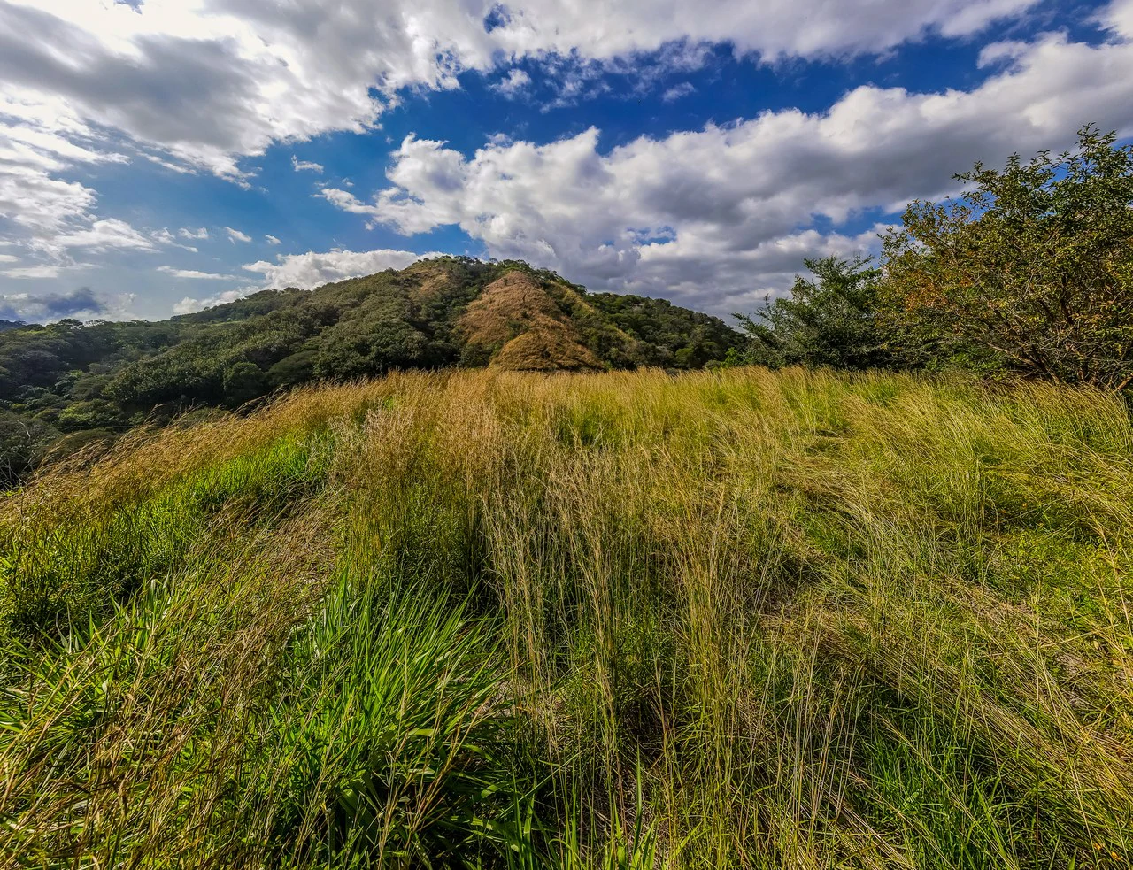 Countryside Home Construction Site For Sale in Atenas - Gallery image 4