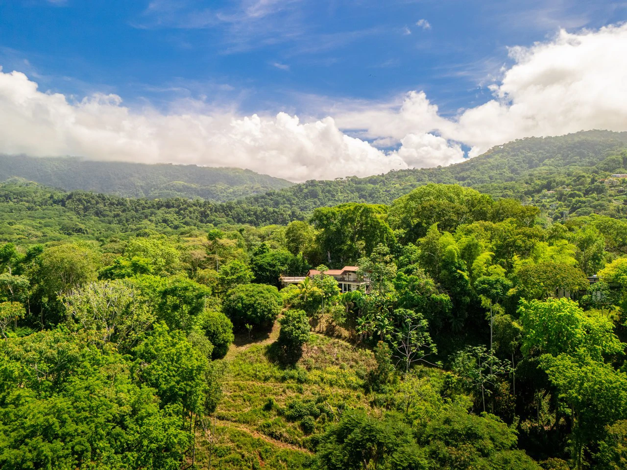 Casa Única -: Ocean View Oasis with Commercial Potential in the Heart of Uvita - Gallery image 3