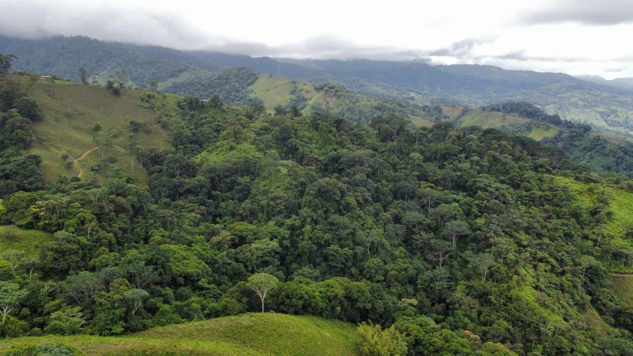Se vende 39ha en Barú, Perez Zeledón: Mountain Home Construction Site For Sale in Barú - Gallery image 4