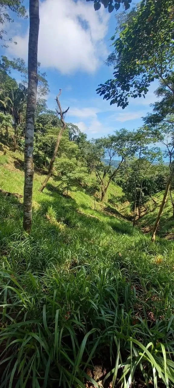 58 hectares: Ocean View Development Land for Sale in Tambor Costa Rica – 58 Hectares on the Nicoya Peninsula - Gallery image 9