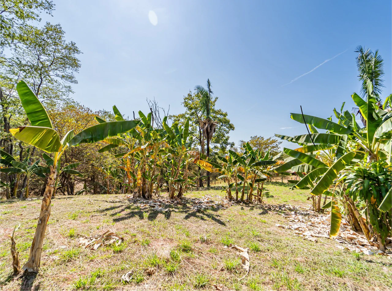 Lote Camaronal Natural: Half Acre Lot Just Mins to the Surf - Gallery image 5