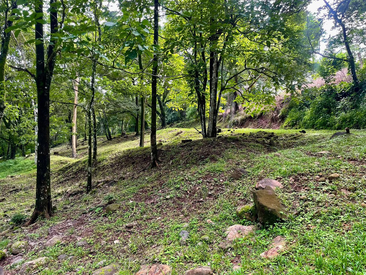 Property for Sale for Tourism Development with River in Orotina Alajuela Costa Rica - Gallery image 11