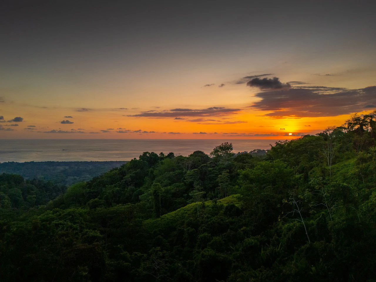 Private Oceanview Sanctuary Above Uvita's Iconic Whales Tail, 3 Bed, 3 Bath - Gallery image 8