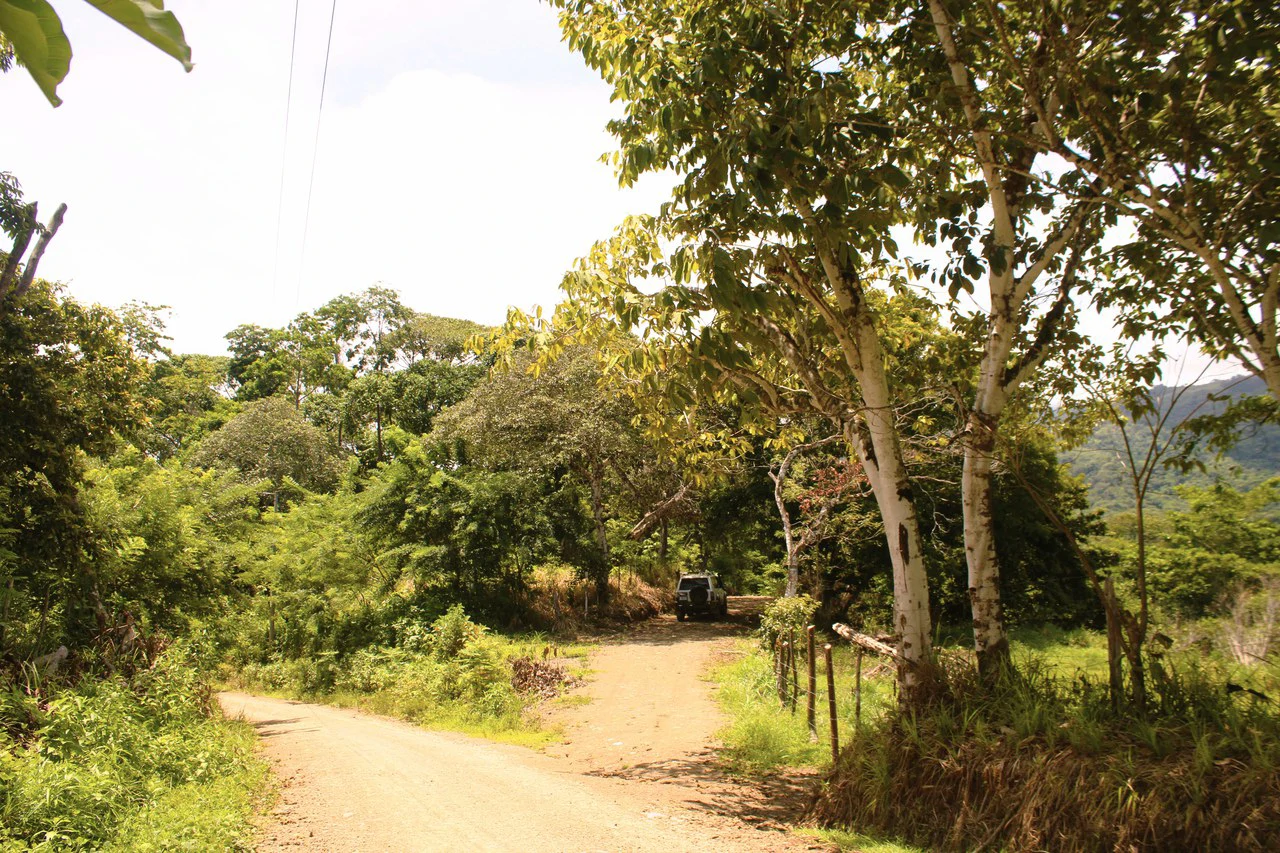 Wildlife Reserve Farm close to Ojochal - photo 14