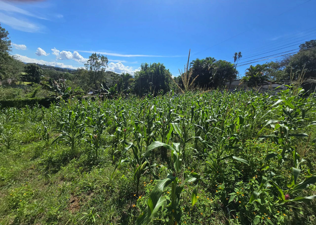 Land for sale in Tambor, Alajuela - Gallery image 12