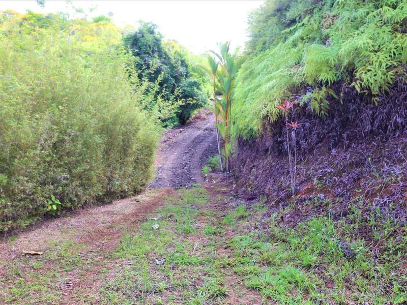 Captivating 3.15-Acre Property: Huge Pricedrop! Firesale Oceanview Lot in Tres Rios - Gallery image 22