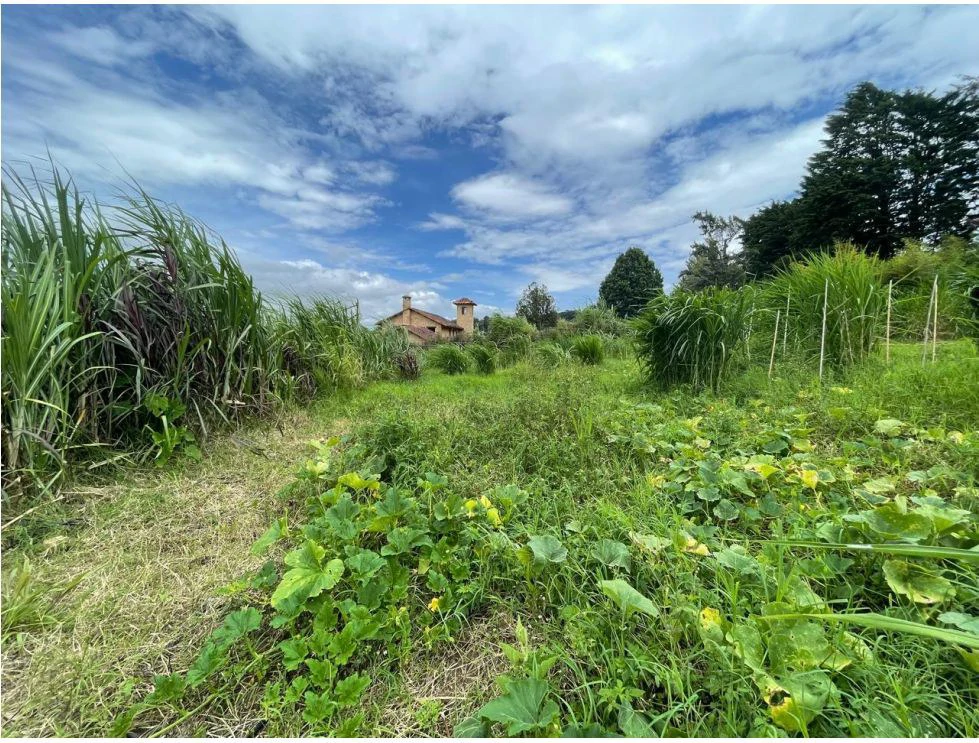 For Sale: This beautiful 1.12-hectare estate in Santa Cecilia de San Isidro de Heredia, on Caricias Street. - Gallery image 11